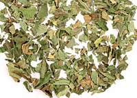 PEPPERMINT TEA - 100CT/BAG